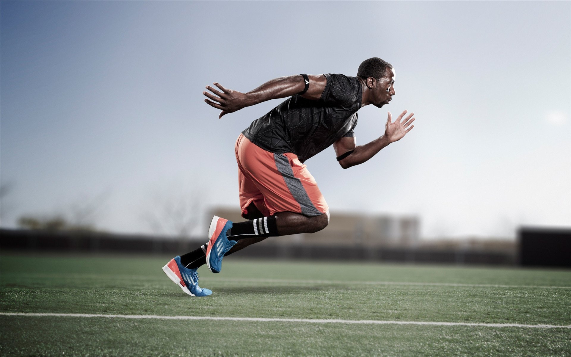 自由泳巅峰对决,世界纪录保持者再创佳绩,新生代选手崭露头角