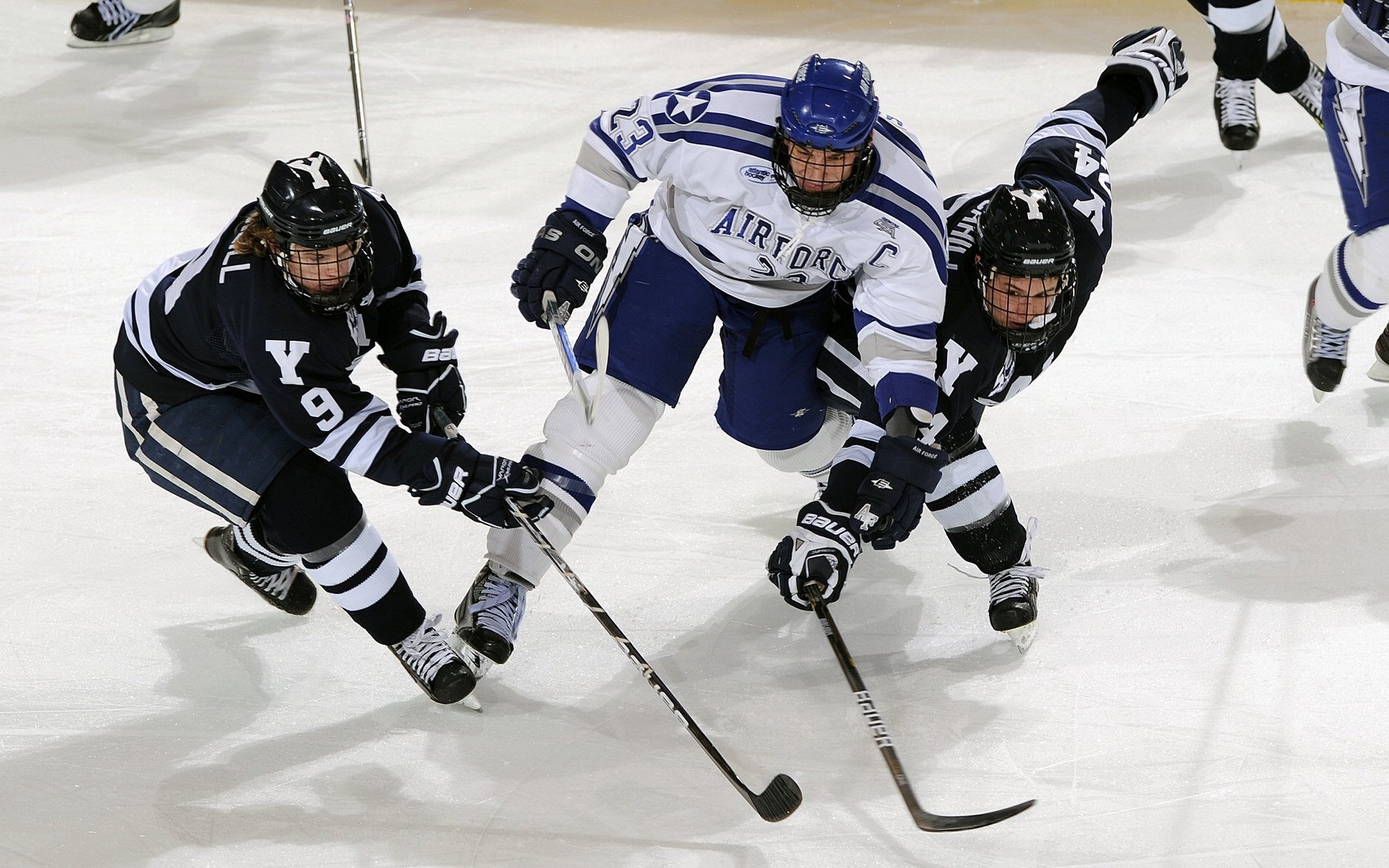 自由式滑雪世界杯再掀高潮,新秀选手惊艳亮相斩获金牌