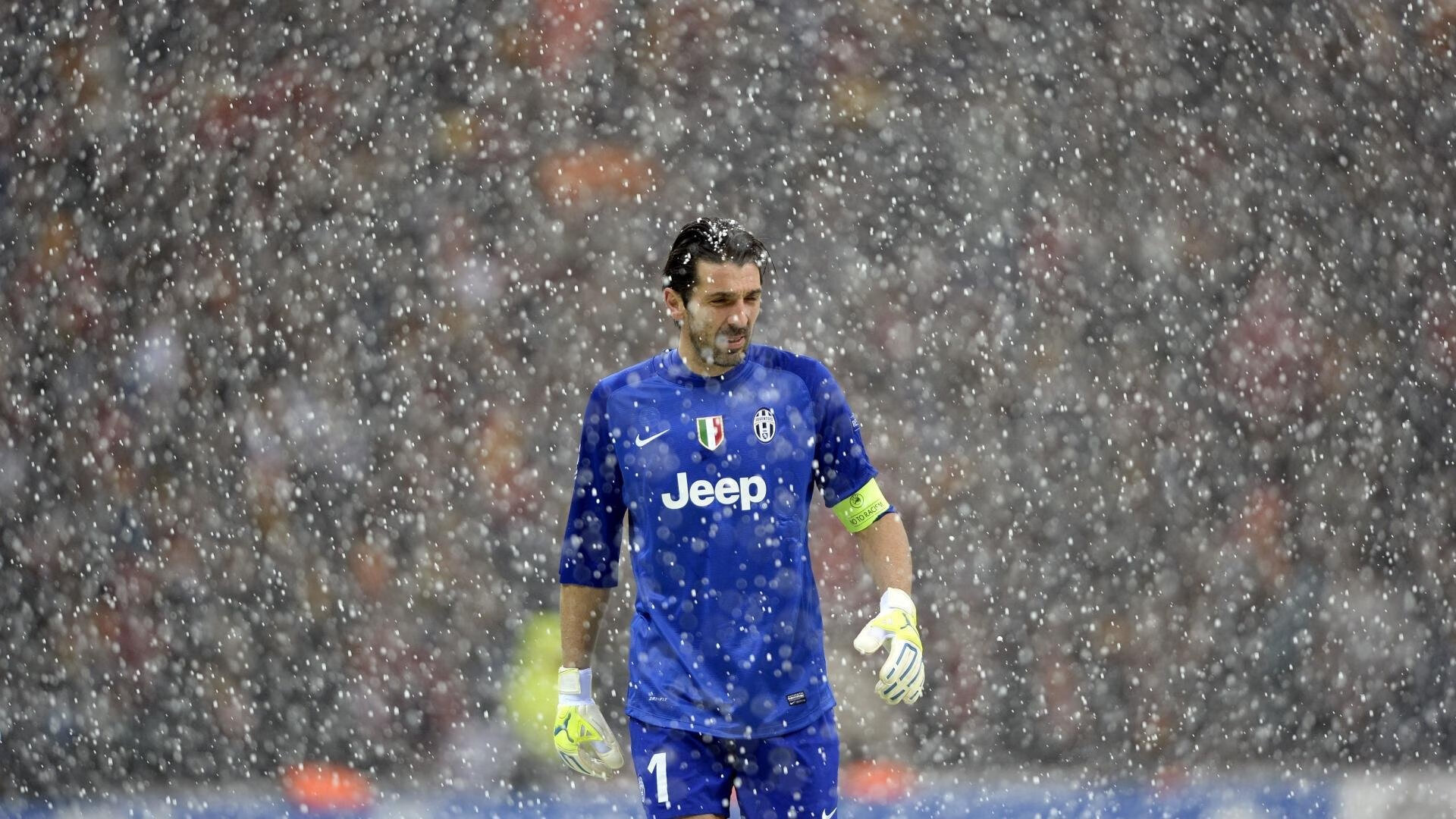 中国跳水队再创辉煌,包揽世界杯三金彰显霸主地位