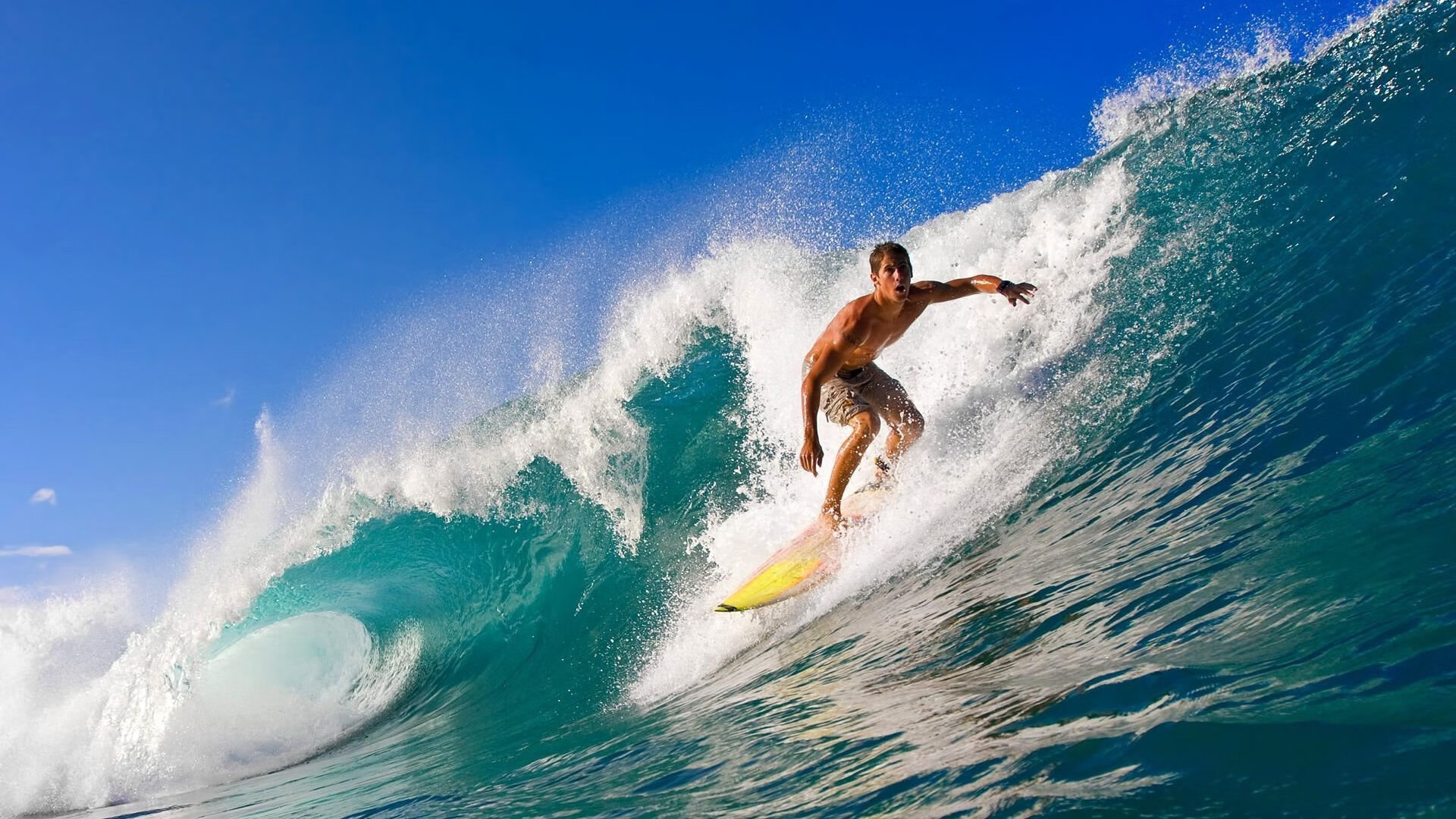 转会市场风云再起,豪门争夺战与新星崛起引爆夏窗